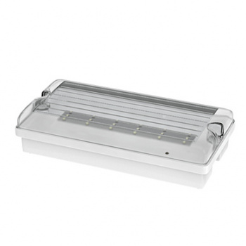  FLAT 12LED Em3h DP/TP IP65 clear + piktogram 